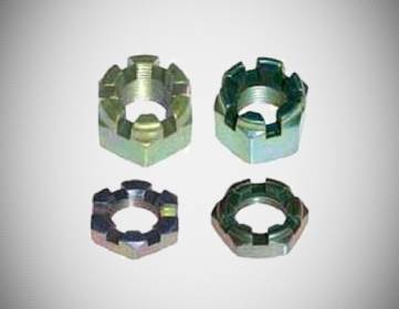 Nuts Nuts Manufacturers in Chennai